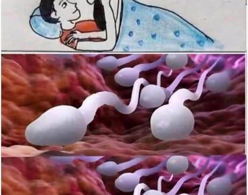 ❤️!!! Studies reveal that swallowing your partner’s semen…see more